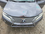 Lexus RX 2013