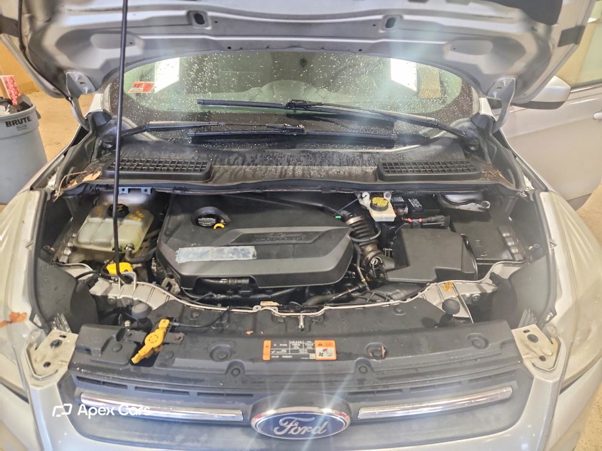 Ford Escape 2014