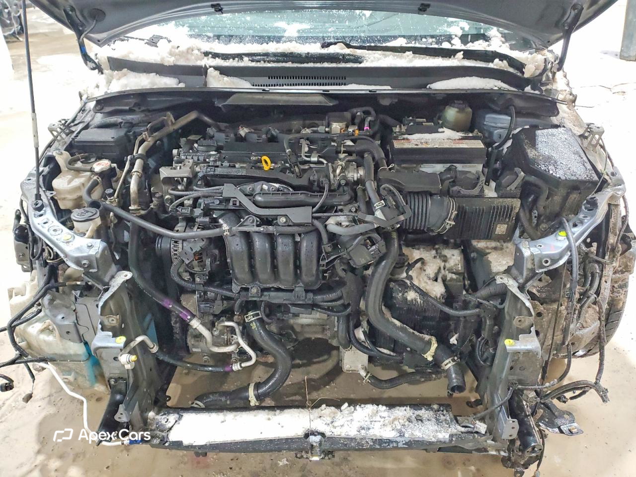 Toyota Corolla 2021