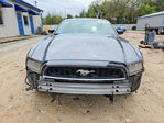 Ford Mustang 2014