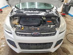 Ford Escape 2013