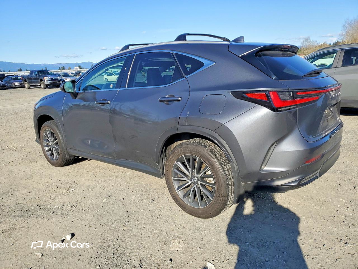 Lexus NX 2024
