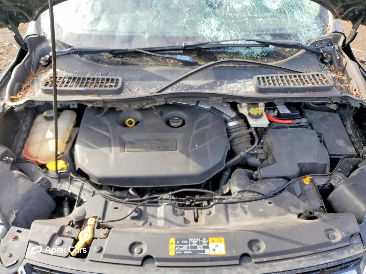 Ford Escape 2013