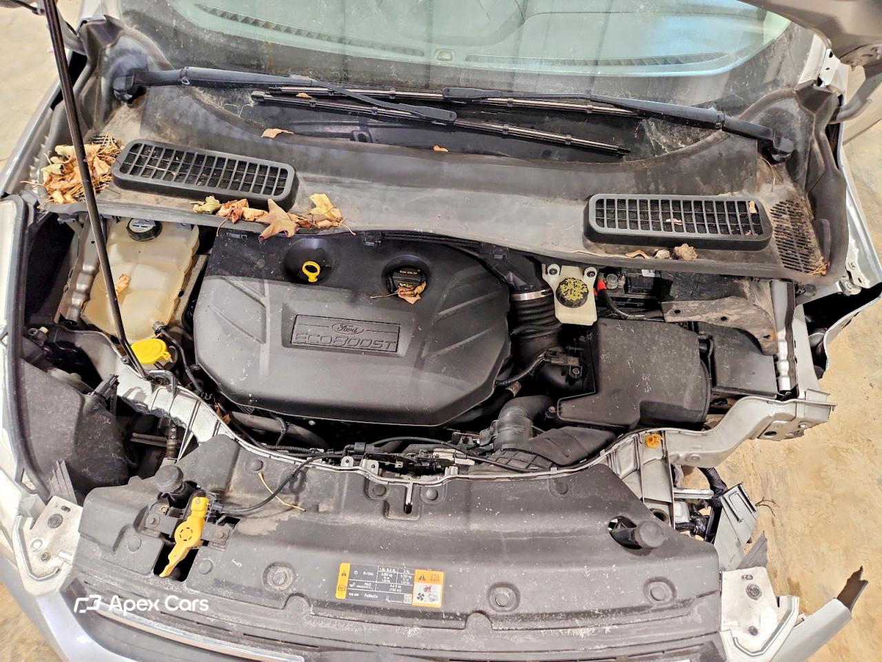 Ford Escape 2013