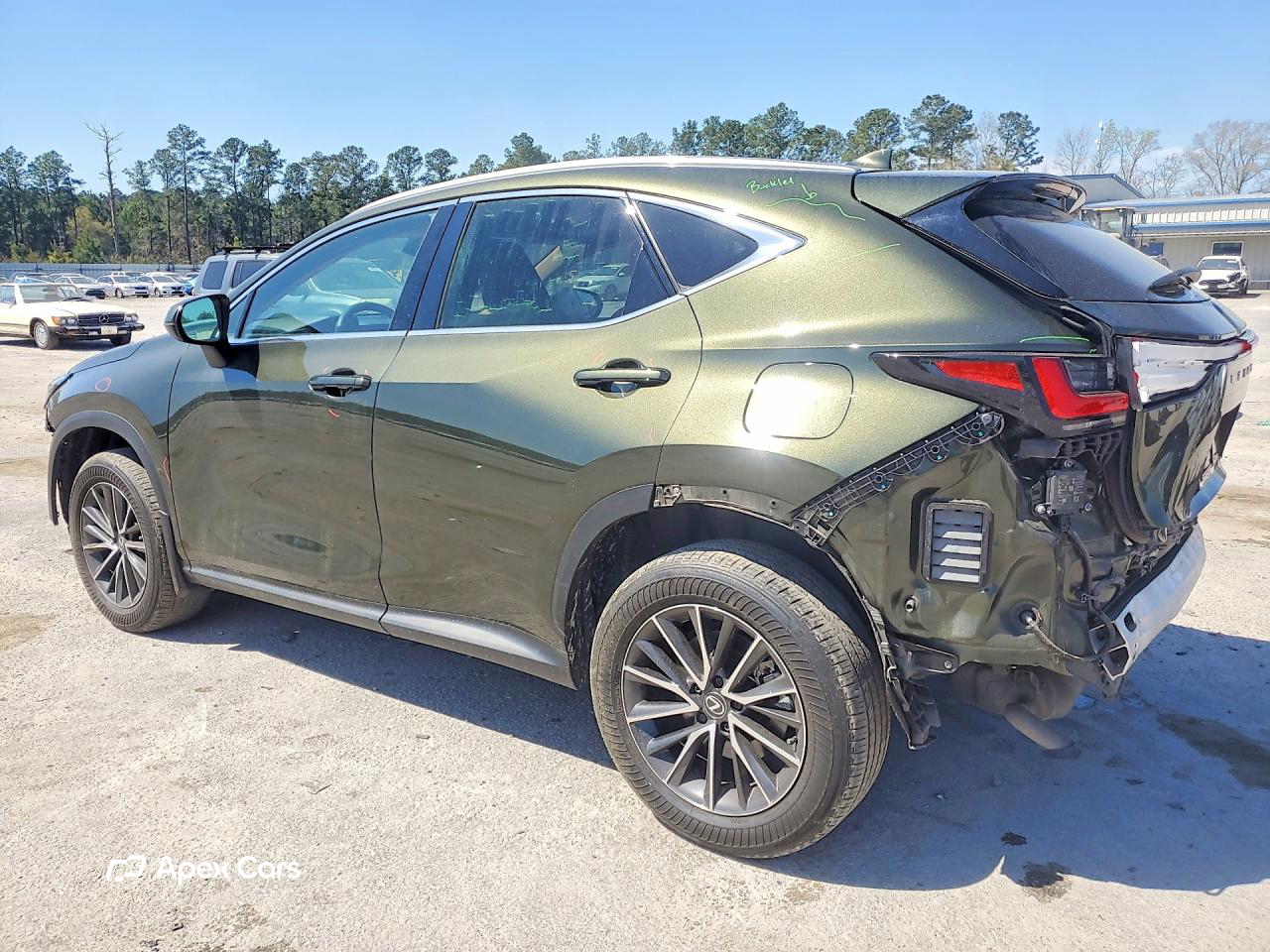 Lexus NX 2024