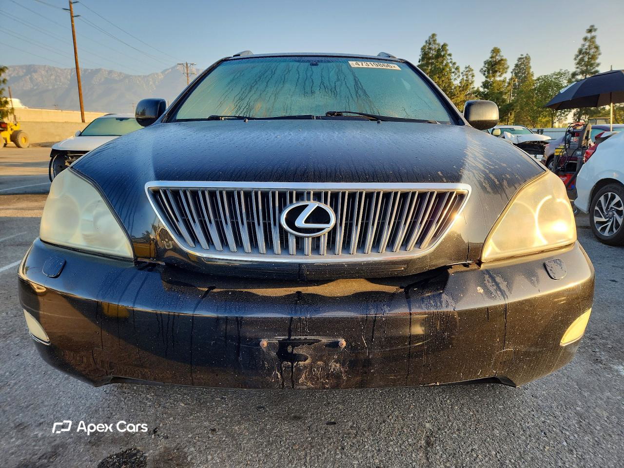 Lexus RX 2004