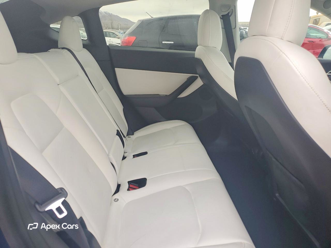 Tesla Model Y 2020