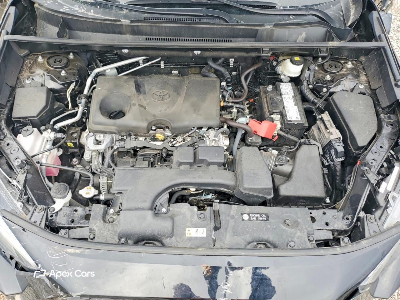 Toyota RAV 4 2024