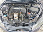Honda Accord 2013