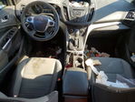 Ford Escape 2014