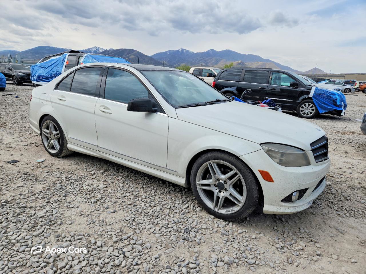Mercedes-Benz C-klasse 2010