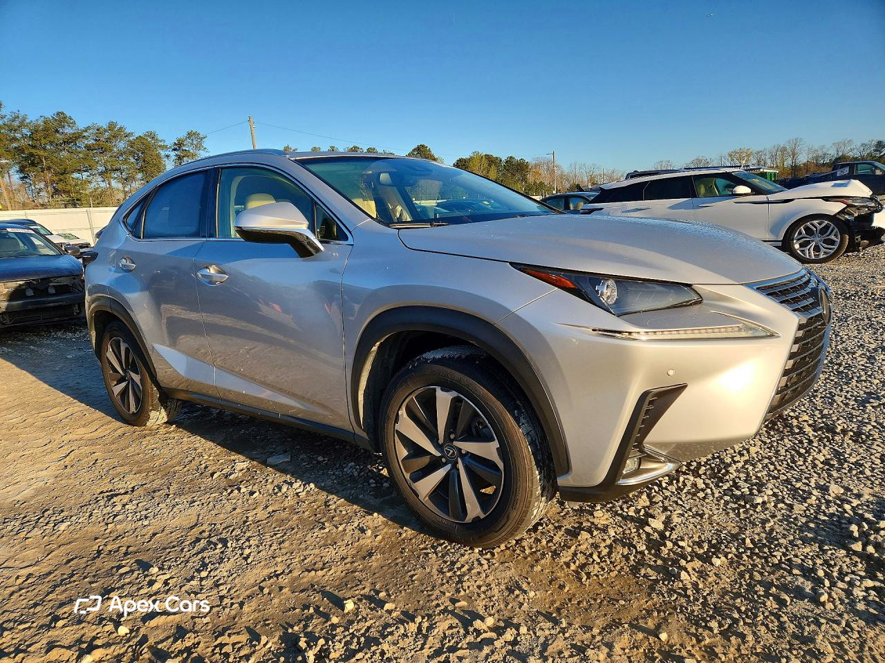 Lexus NX 2019