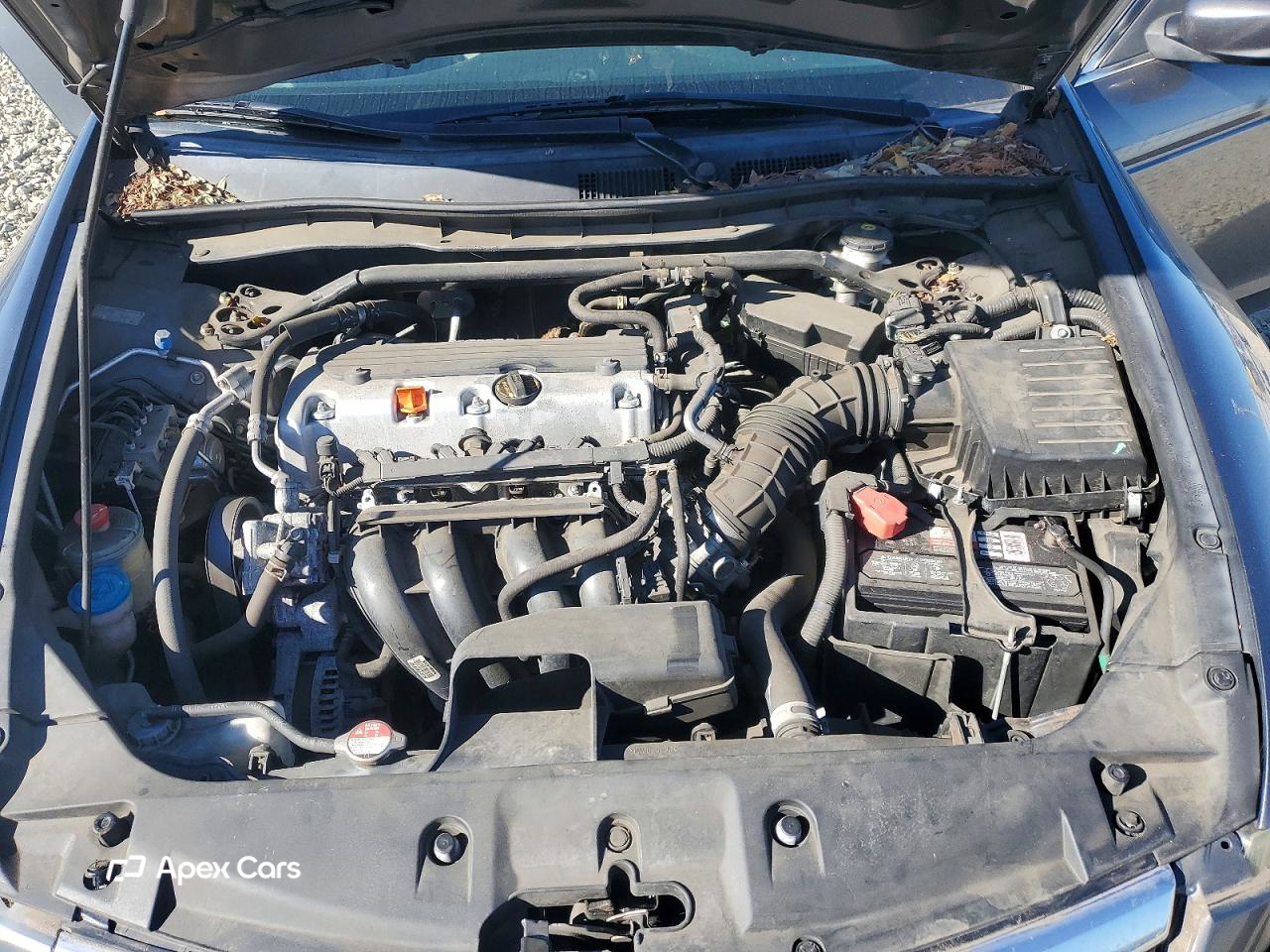 Honda Accord 2011