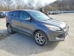 Ford Escape 2013