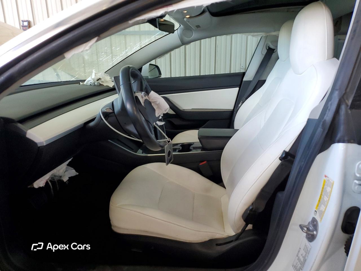 Tesla Model 3 2019