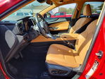 Lexus NX 2024