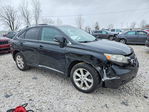 Lexus RX 2010