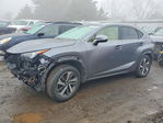 Lexus NX 2019