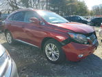 Lexus RX 2010