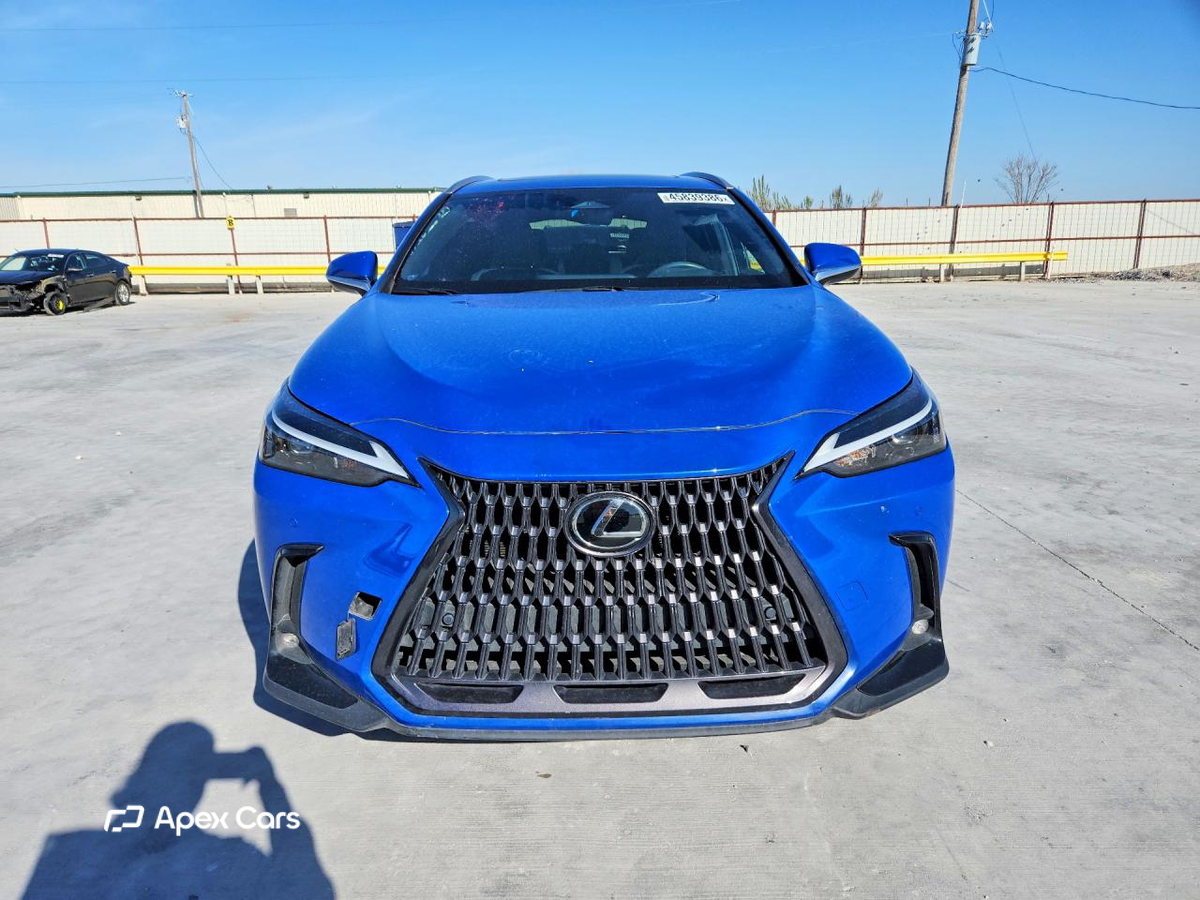 Lexus NX 2022