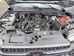 Ford Ranger 2024