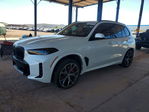 BMW X5 2025