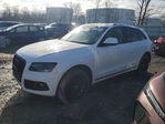 Audi Q5 2013