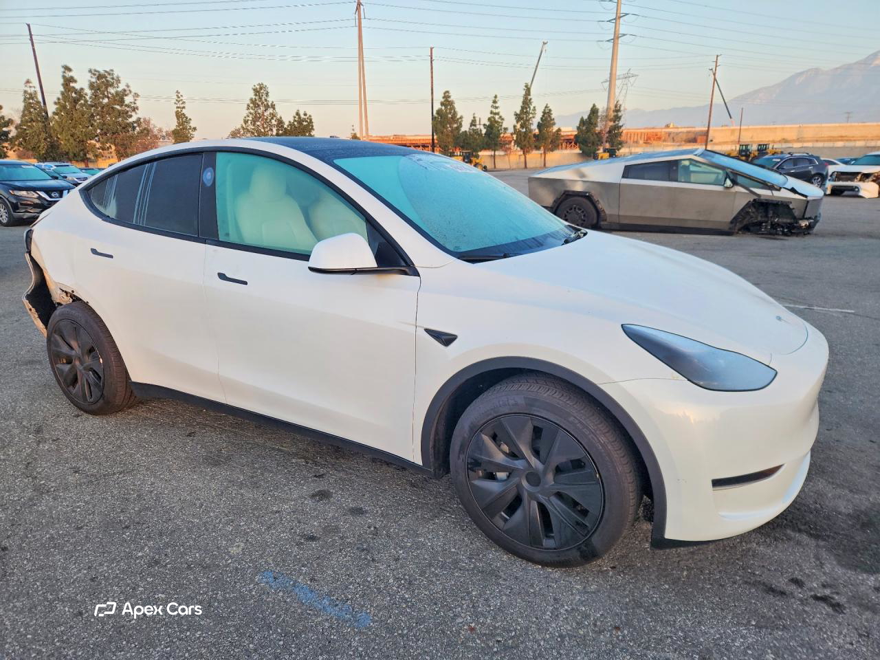 Tesla Model Y 2024