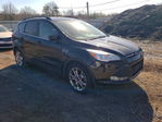 Ford Escape 2016