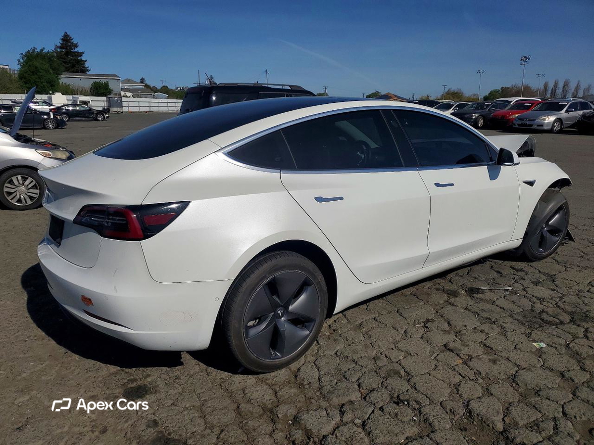 Tesla Model 3 2019