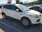 Ford Escape 2014