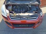 Ford Escape 2014