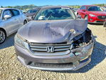 Honda Accord 2013