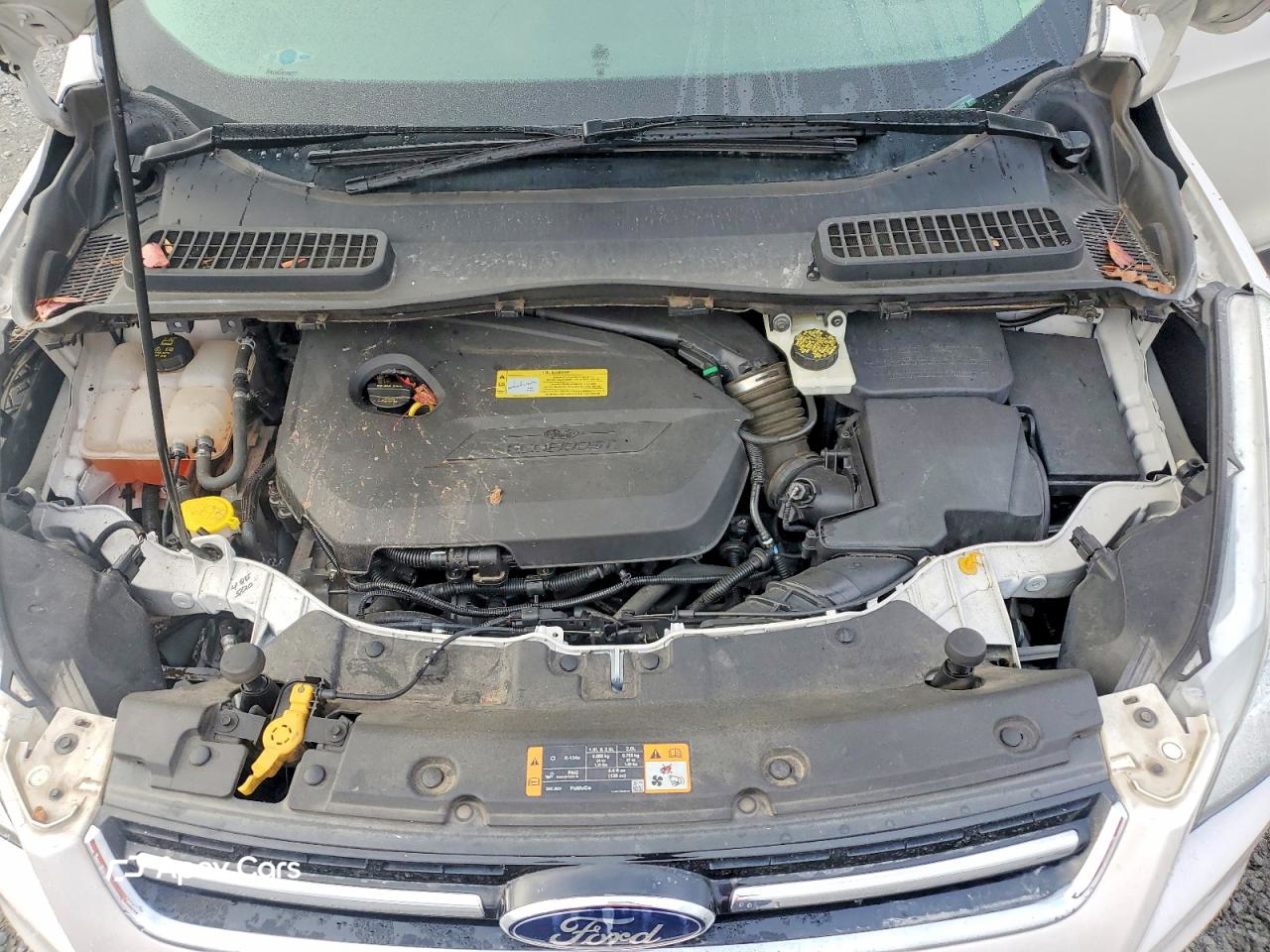 Ford Escape 2014