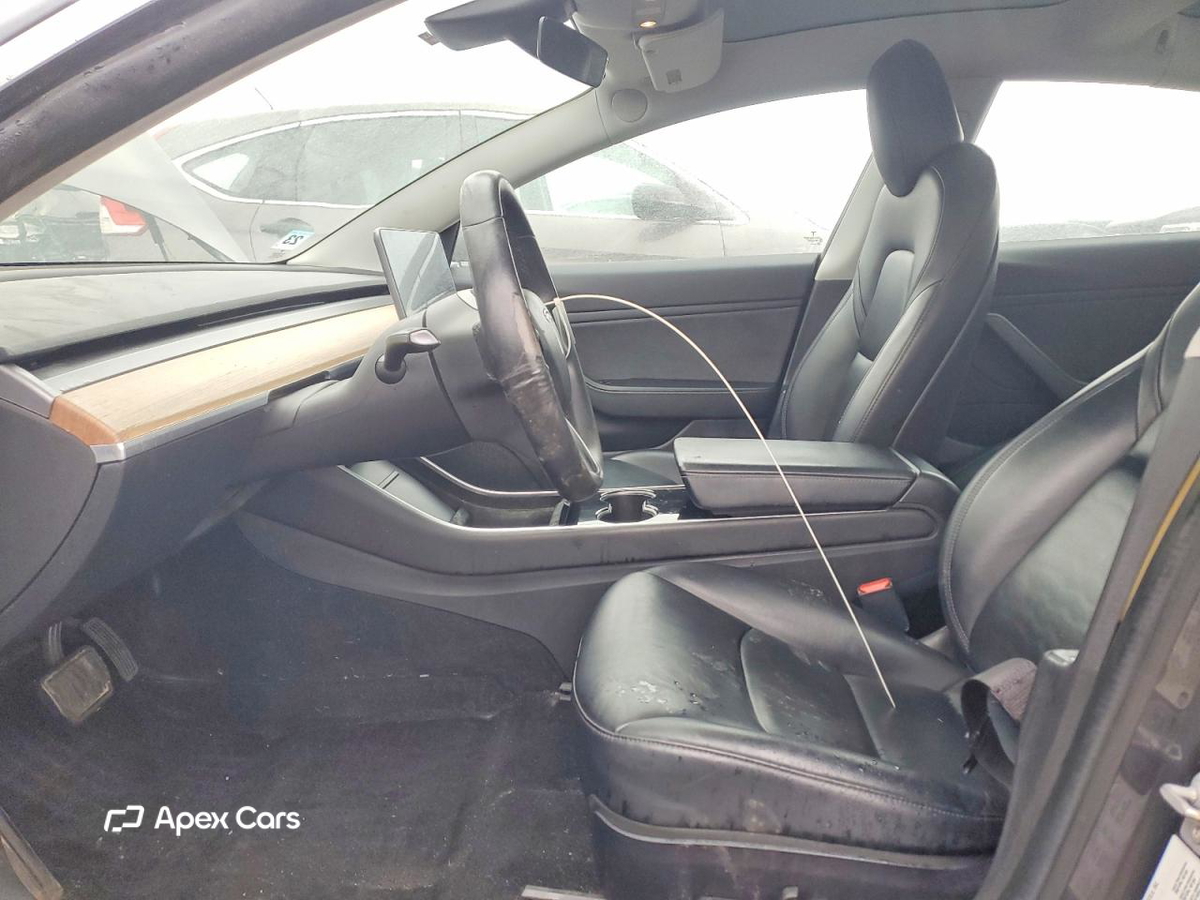 Tesla Model 3 2019