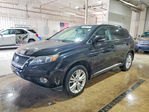 Lexus RX 2010