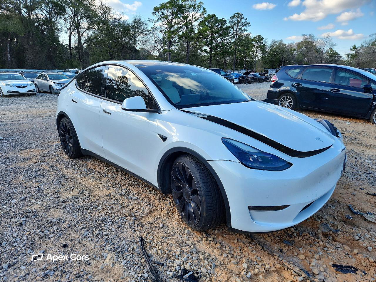 Tesla Model Y 2022