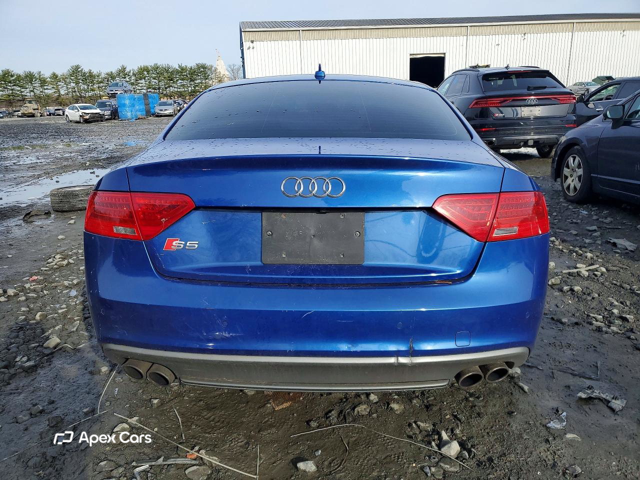 Audi RS5 2017