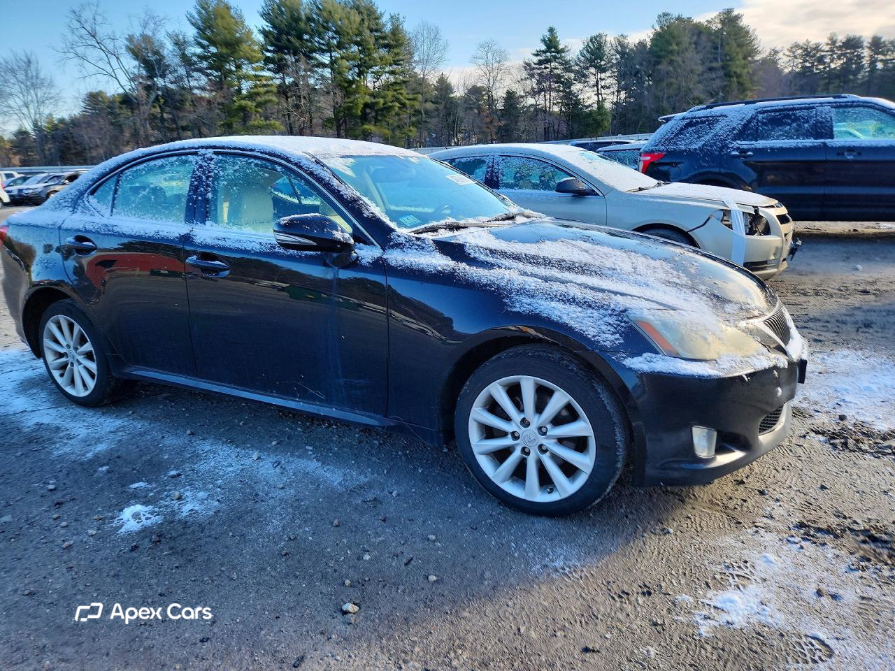 Lexus IS 2009