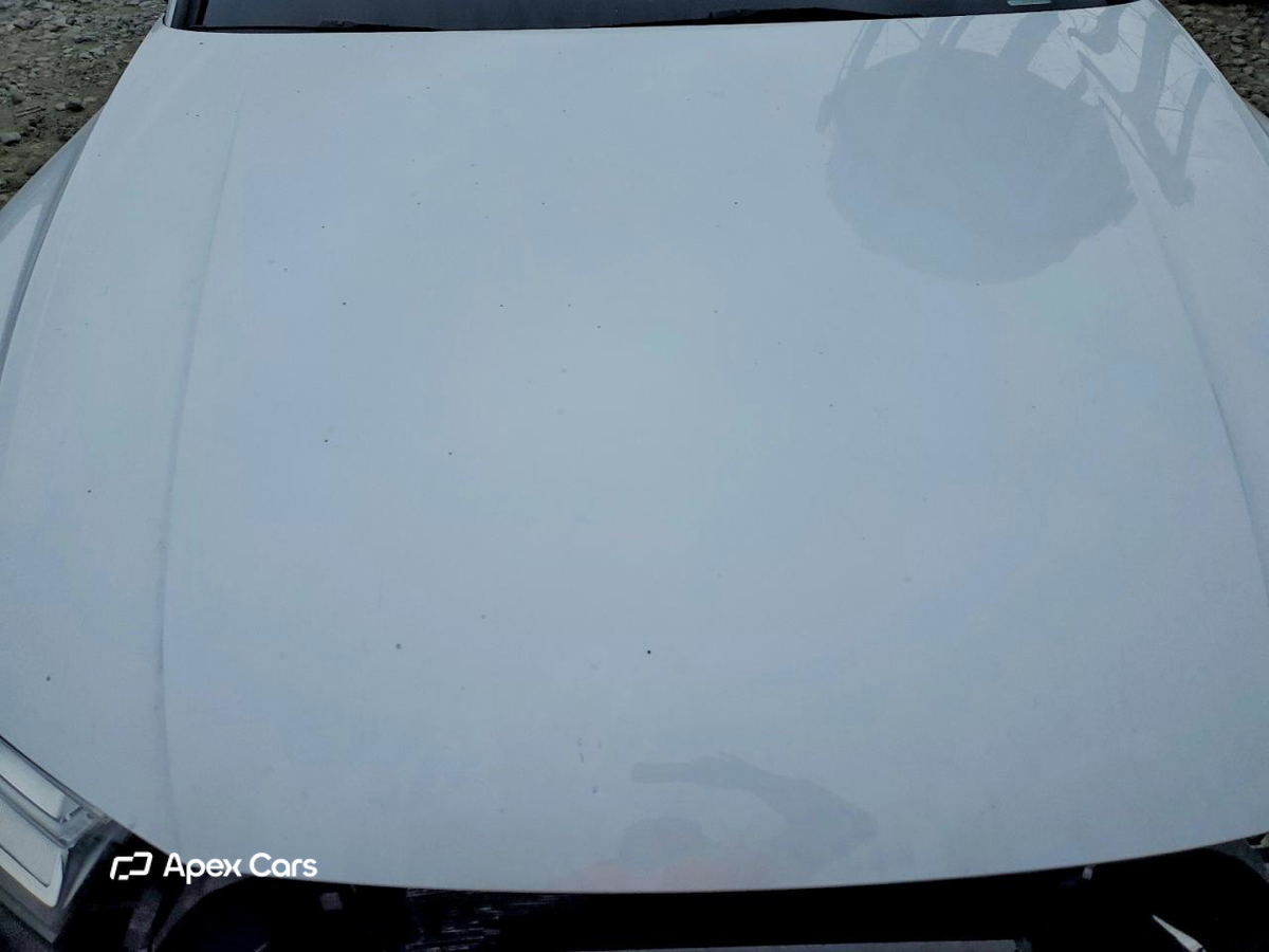 Audi SQ5 2019