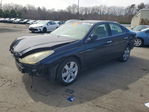 Lexus ES 2005