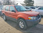 Ford Escape 2007