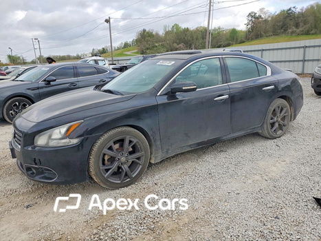 Maxima 2014 - Image 1 of 12