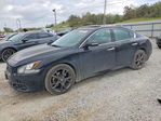 Maxima 2014