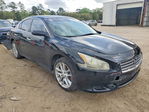 Nissan Maxima 2014