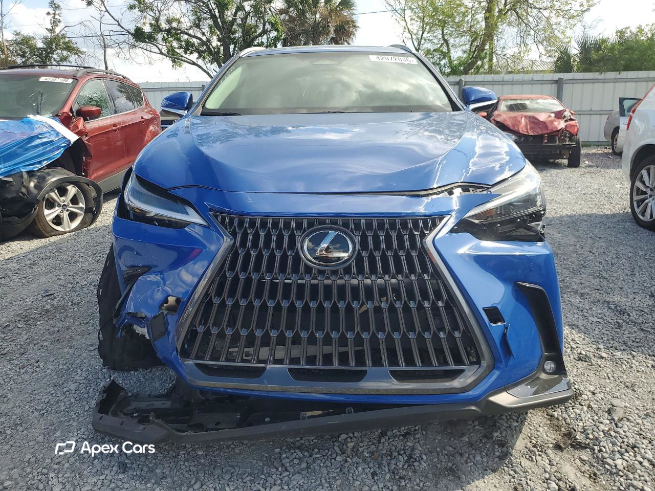 Lexus NX 2025