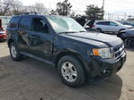 Ford Escape 2012