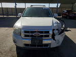 Ford Escape 2009