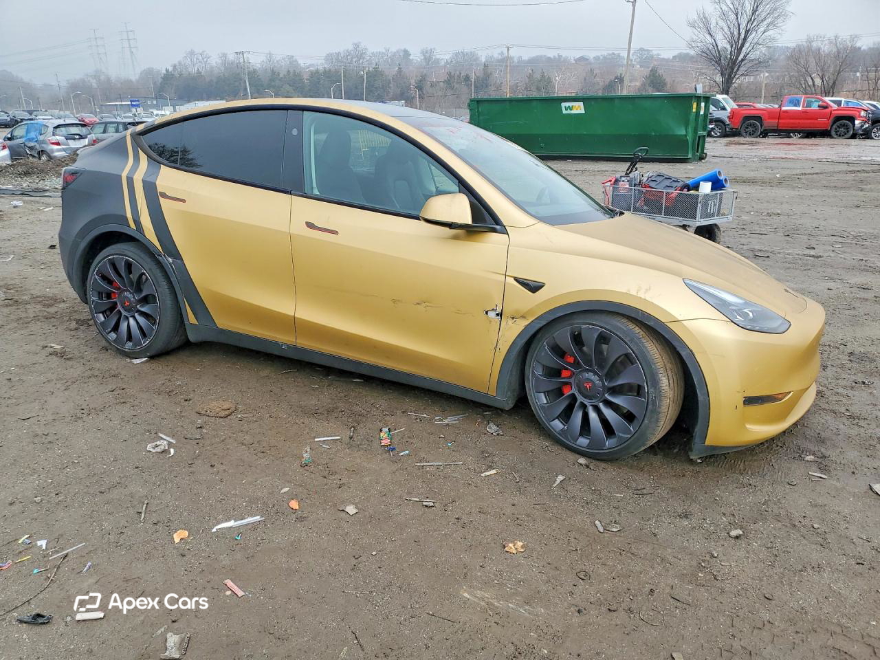 Tesla Model Y 2024