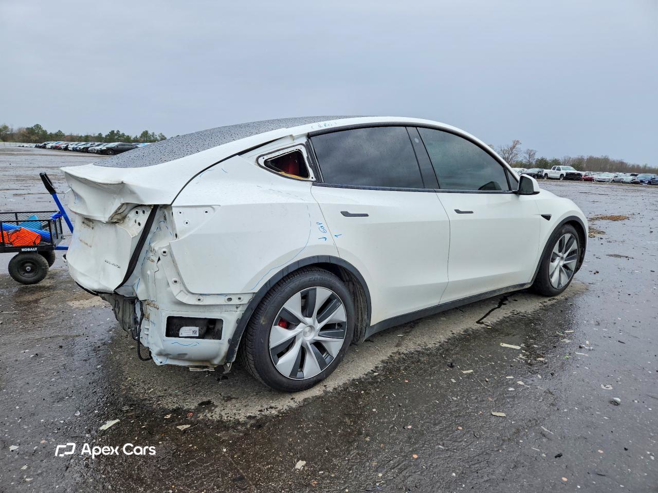Tesla Model Y 2021
